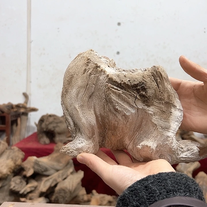 柏木月****水我们都是好孩子呀我也