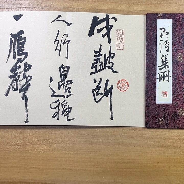 书法中书协会员作品