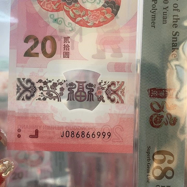 塑料大三圆圆，豹子999