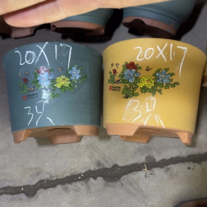 紫砂紫砂紫砂紫砂紫砂紫砂