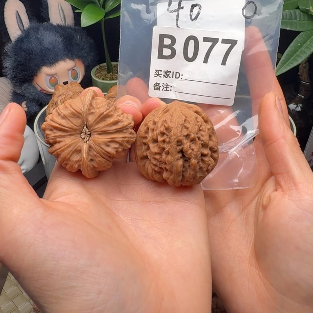 吊坠龙脊菩提平谷凹底40