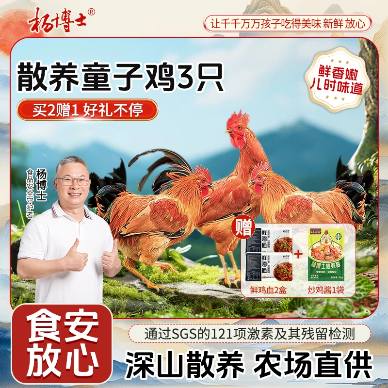 【食安放心童子鸡】杨博士深山放养低脂土鸡农家正宗散养土鸡新鲜嫩商品图