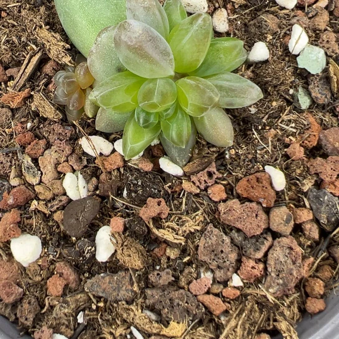 是***吖111111111111111111111