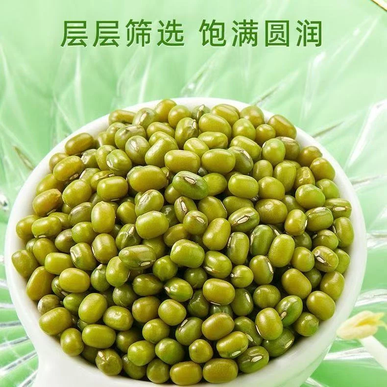 农家绿豆500g装新货绿豆汤豆芽商用
