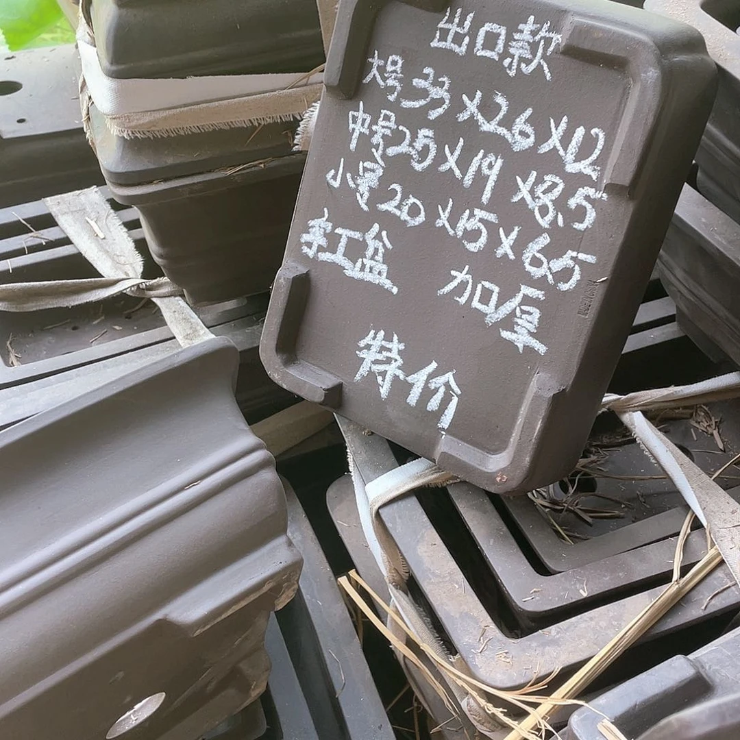 处理紫砂两组共六只