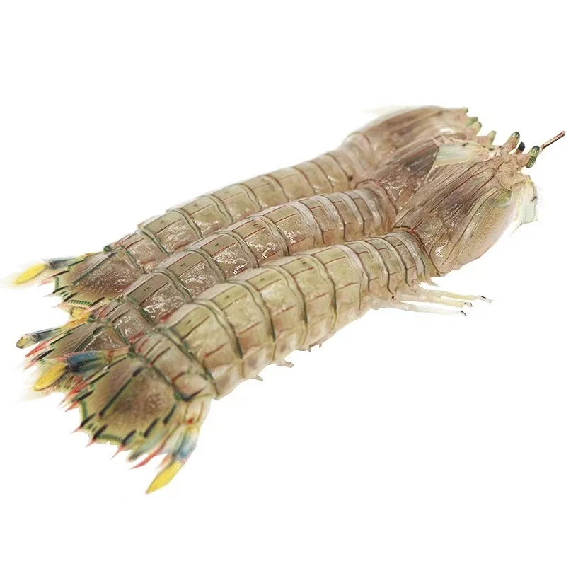 3斤  起拍（全母带膏）吕四渔港皮皮虾 江浙沪活发 保鲜不包活精品