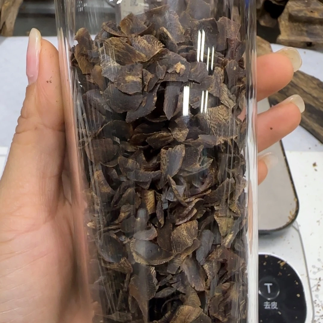 来***球摆件沉香奇楠沉香凹身沉水切片48.8克