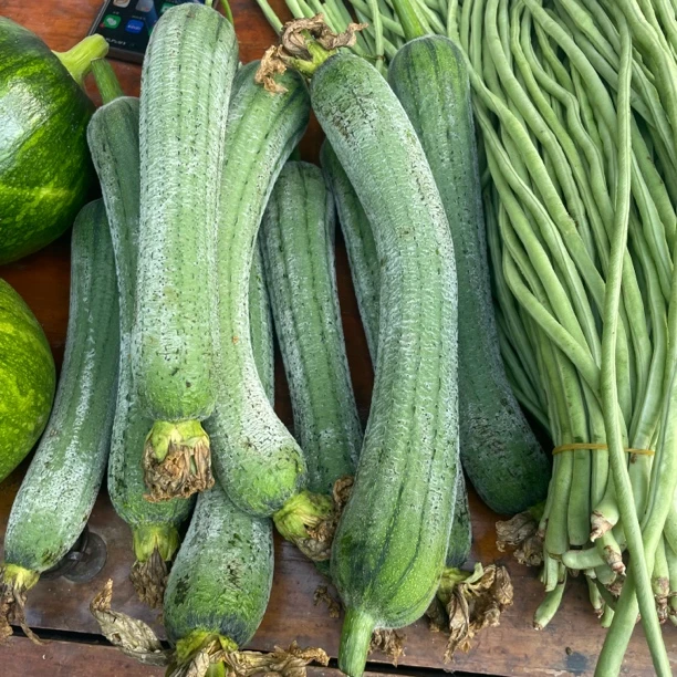 四川深山农家自种老品种露天丝瓜清甜鲜嫩