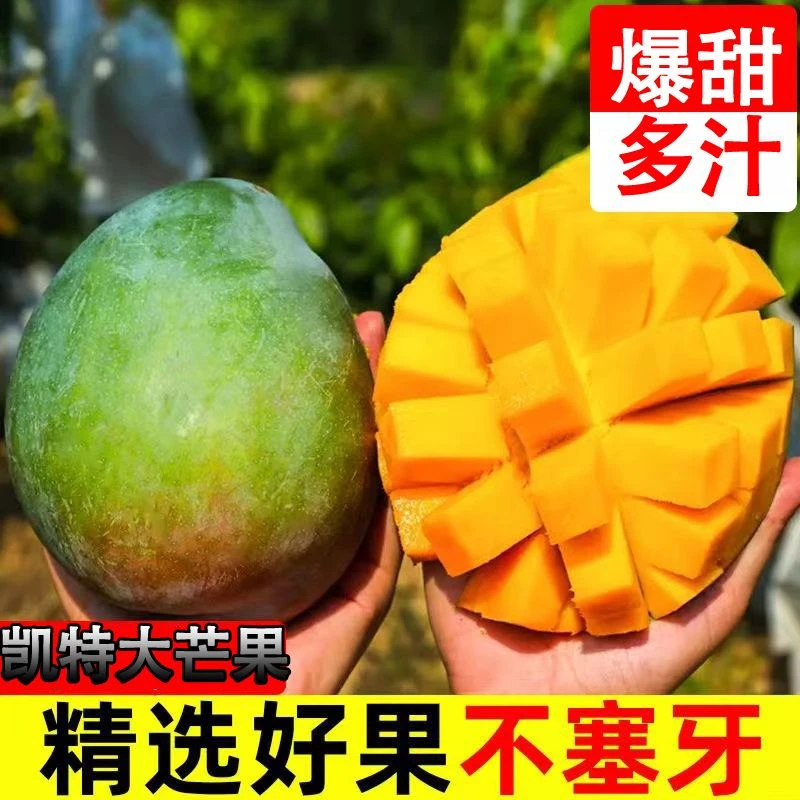 【小芳专属】四川攀枝花凯特芒爆甜多汁果香浓郁新鲜采摘应季水果
