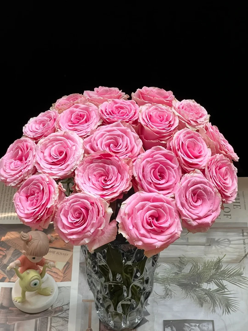 【活动专属】甜蜜梦境  纯粉色单头玫瑰 大花型云南 基地直发鲜切花
