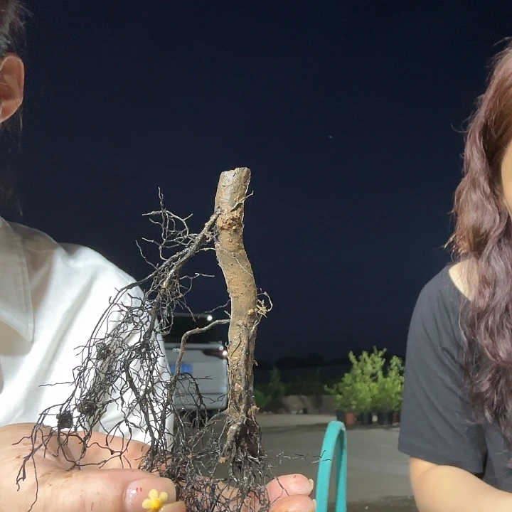 福*南瓜果哈哈哈哈哈哈