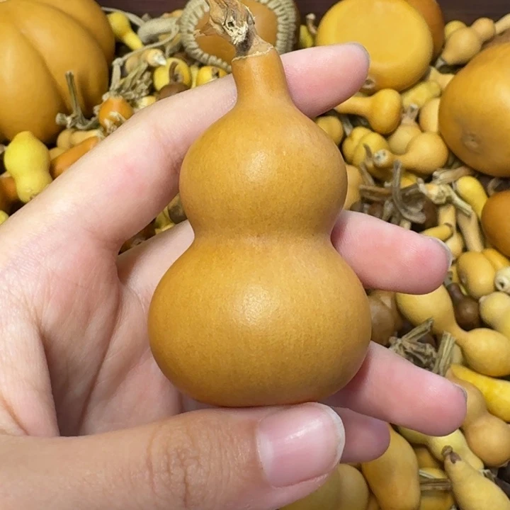 葫芦葫芦葫芦葫芦葫芦葫芦