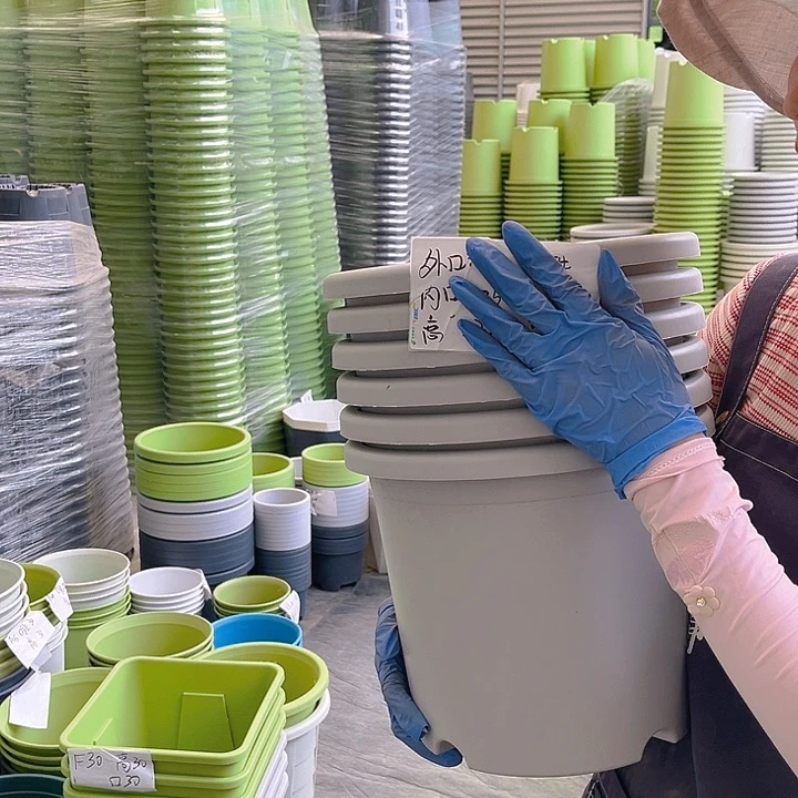 四季盆5#灰白色6个无托