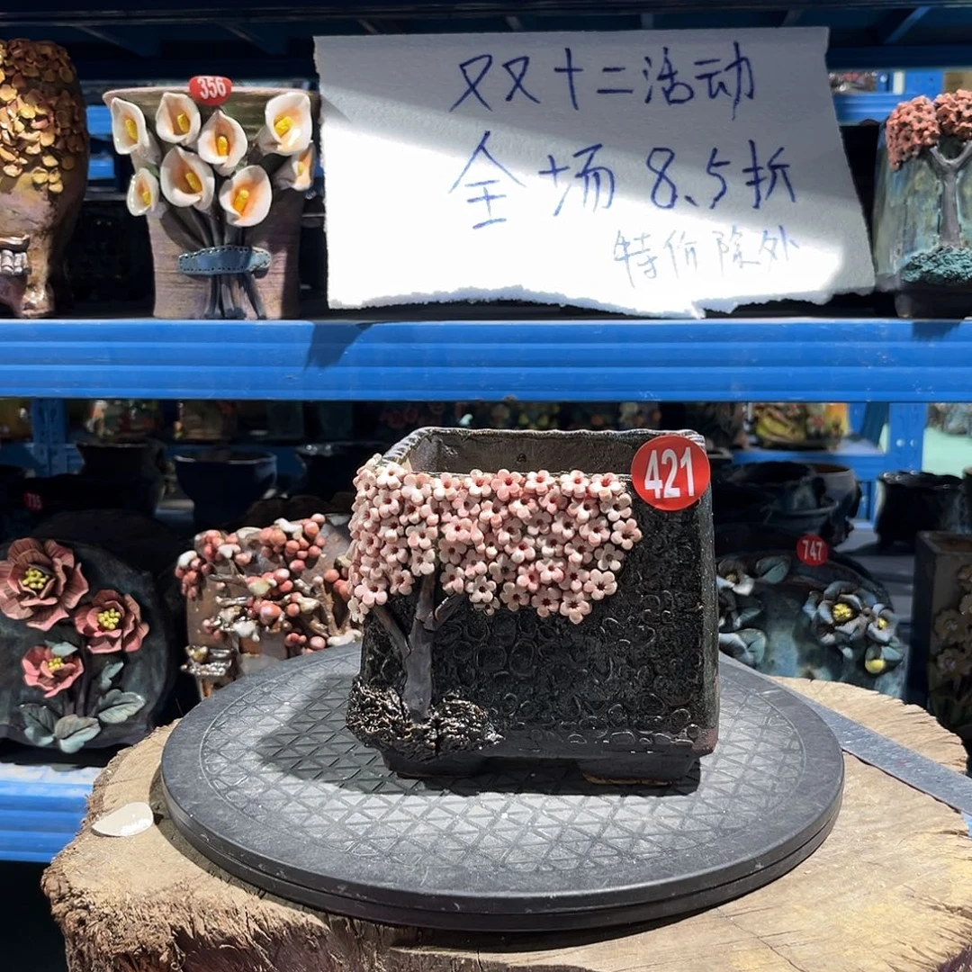 @***生微瑕421 号双12活动85折