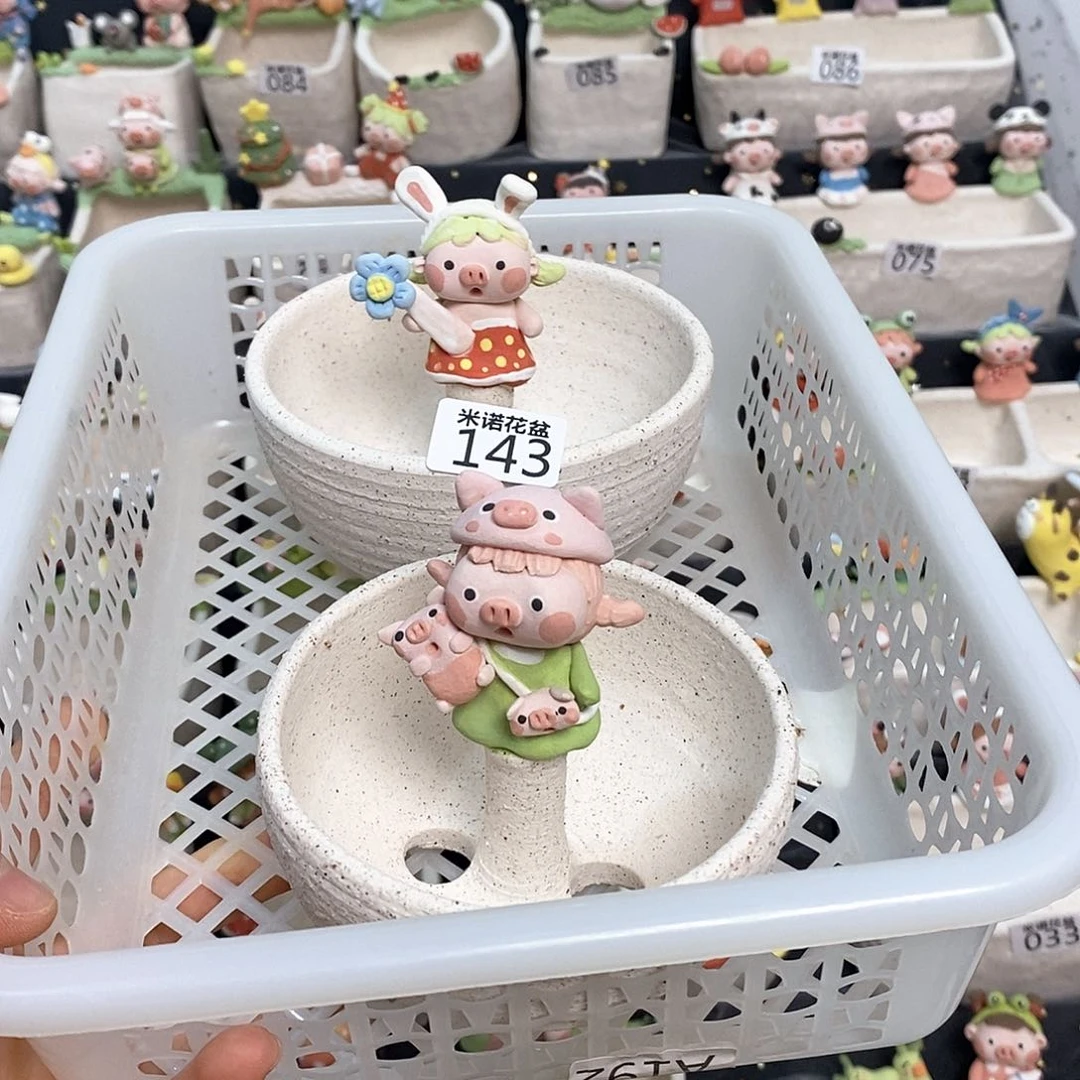 M***i米诺多肉花盆143