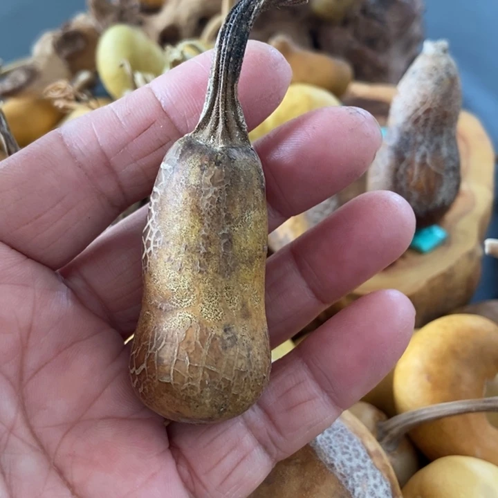 迷****gzvvzhsksnxbasbzs