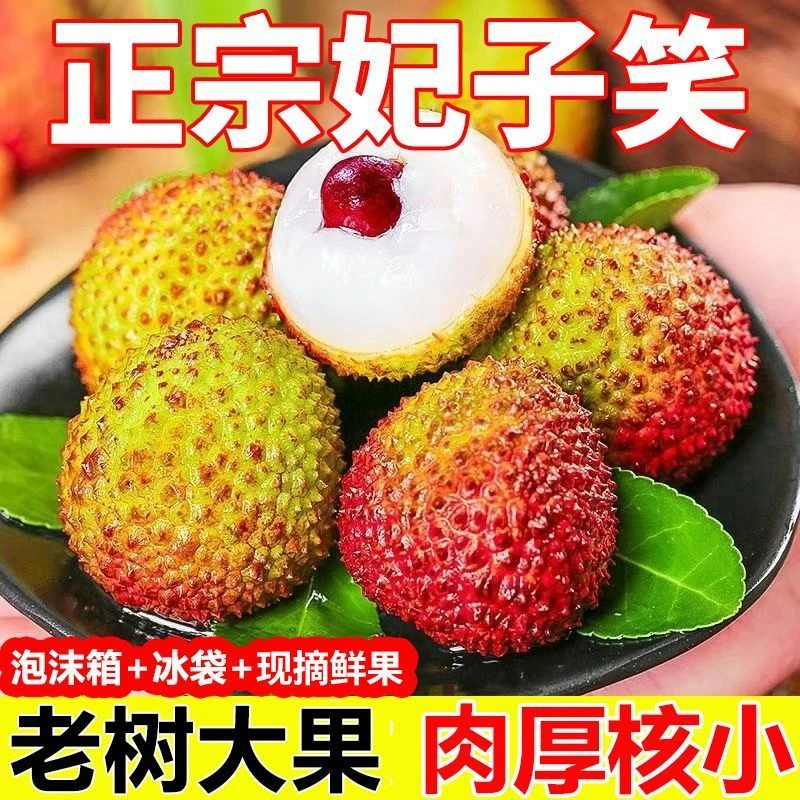 【当天发货】广东高州妃子笑荔枝新鲜现摘现发顺丰包邮整箱5斤装