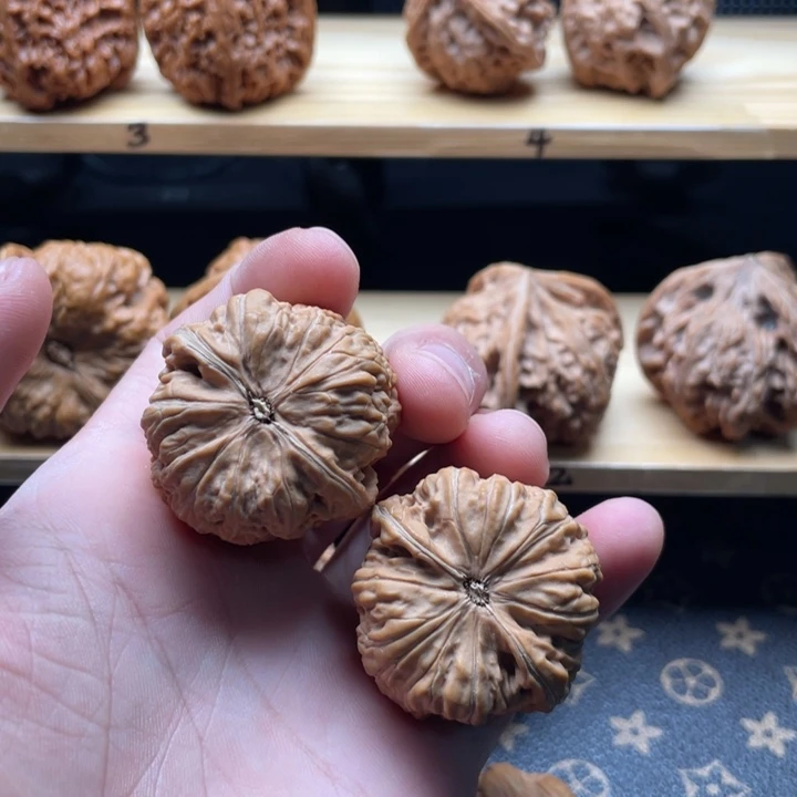 核桃金蝉子平底锅文玩核桃