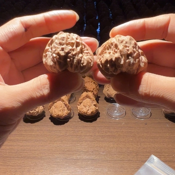哈***2核桃蛤蟆的眼睛是真的好看呀打