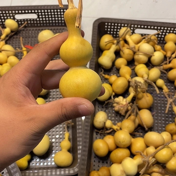 斯***熏感谢大哥支持兄弟