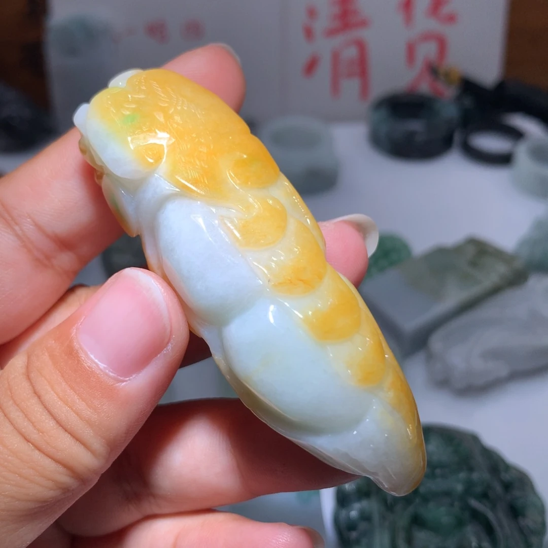 翡翠未镶嵌颈饰保真天然A货翡翠
