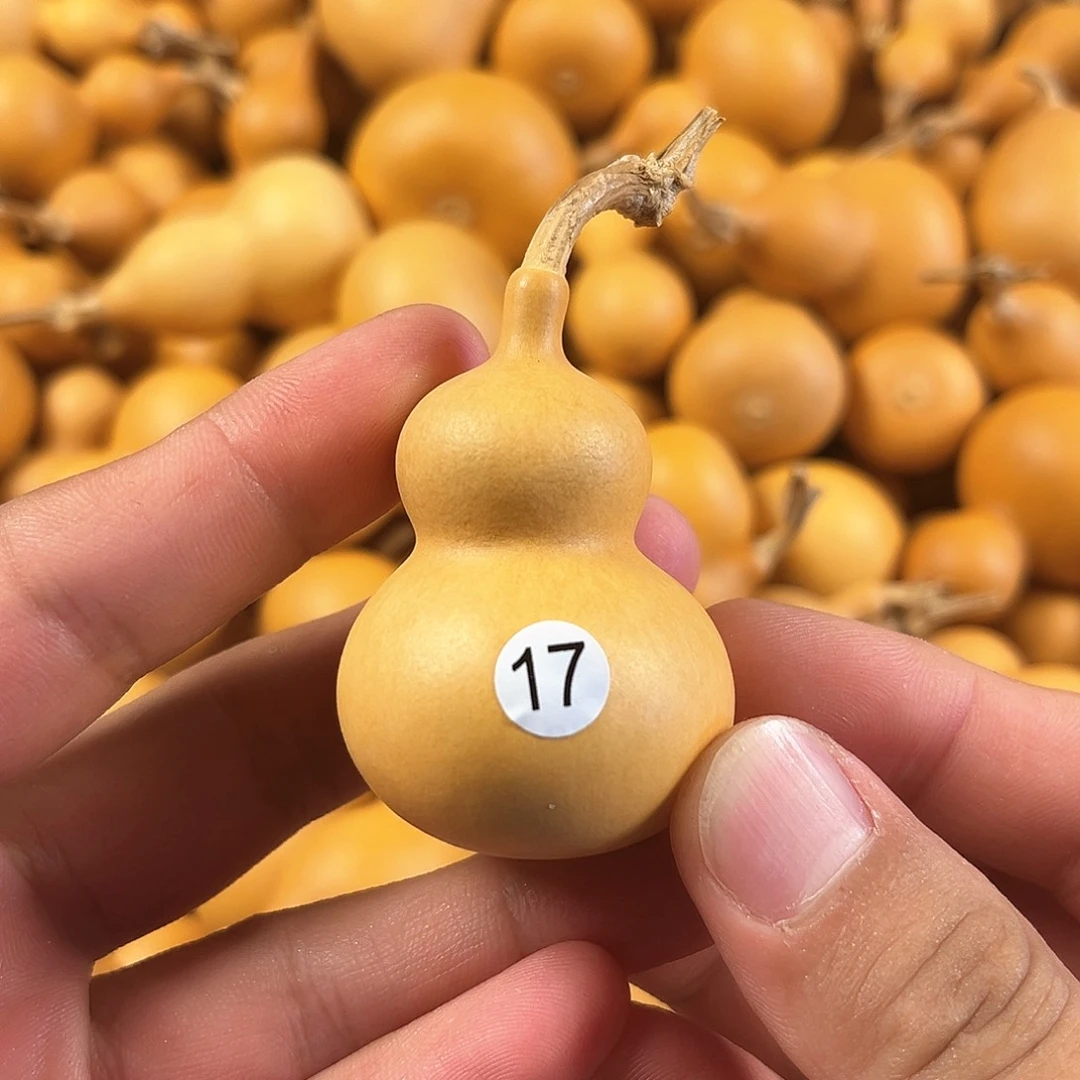 二葫芦葫芦葫芦葫芦17