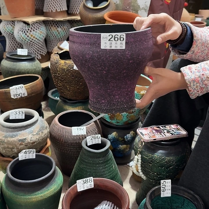 紫色鱼尾266高度20口径18