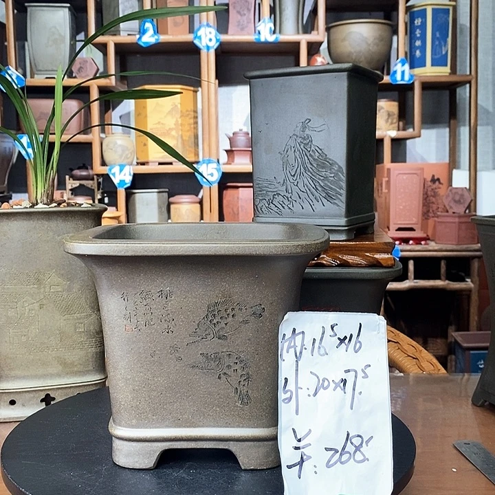 鲨皮青爆款四方贵鱼图