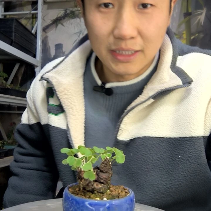 睡***觉中青园艺一物一拍花146