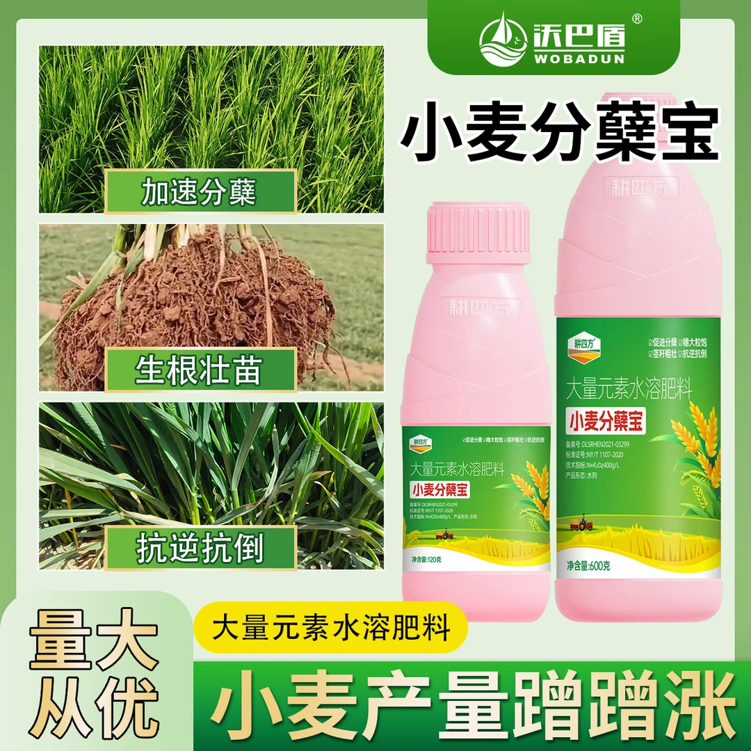 耕四方小麦分蘖宝小麦专用肥小麦促分蘖肥生根壮苗防冻抗旱叶面肥