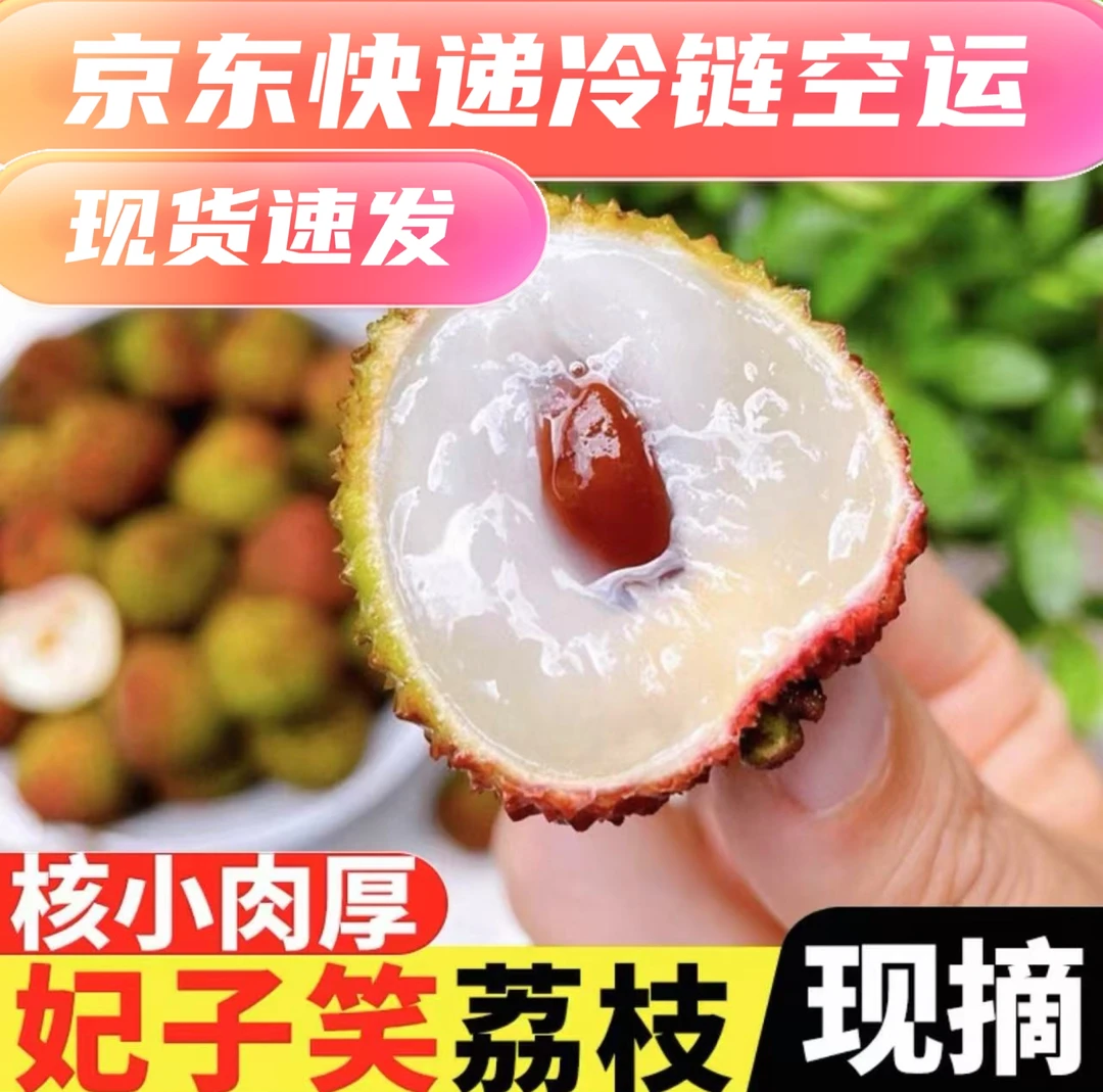 【通果】现摘现发10斤广东妃子笑荔枝新鲜水果广东桂花味大果甜整箱