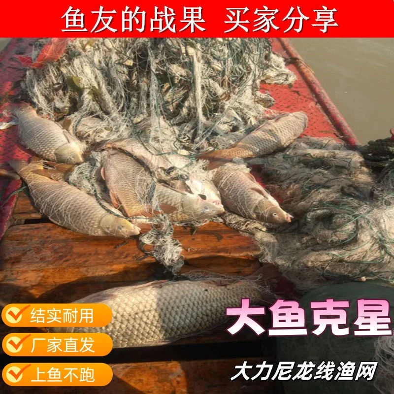 【大鱼专用】大力马尼龙线渔网沉网大鱼网胖头鱼草鱼鲤鱼网结实耐用