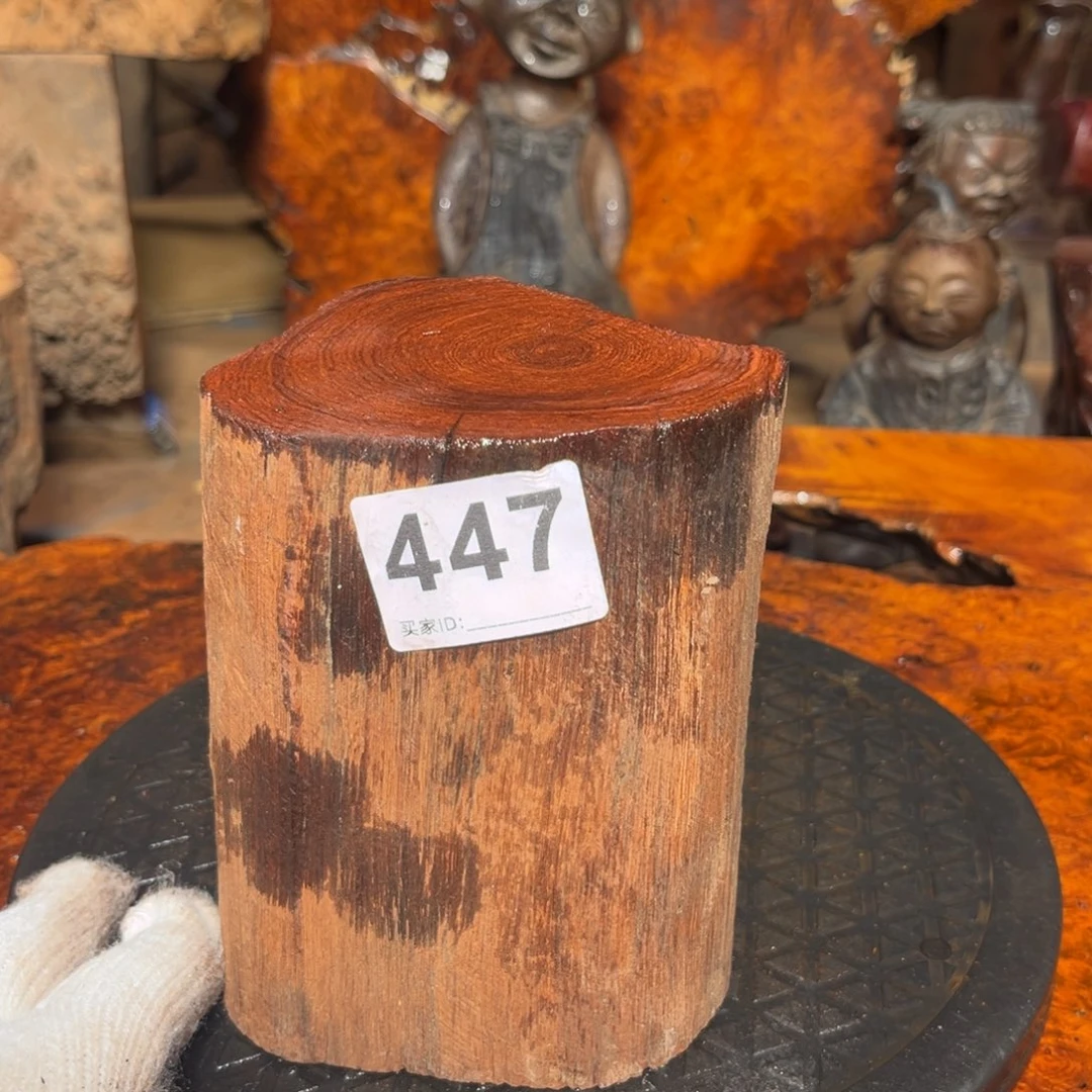 大果紫檀（缅甸花梨）