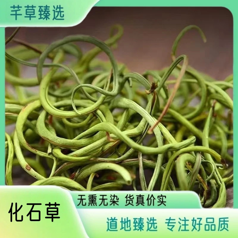 【化石草】云南道地化石草 高品质精选化石草无熏无硫 另售鱼腥草