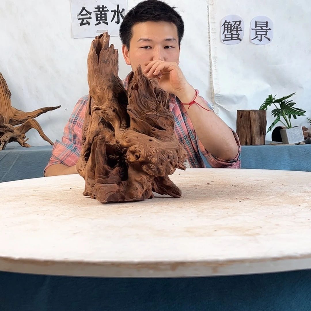 沉木造景寄居蟹景