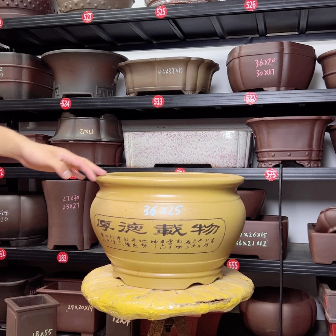 紫砂花盆呜呜呜呜