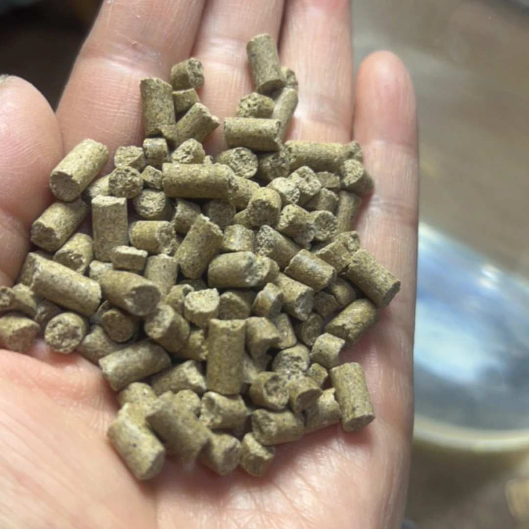 直播间福利通威5-6毫米打窝颗粒草鱼鲤鱼青鱼鲫鱼直播间专享5斤