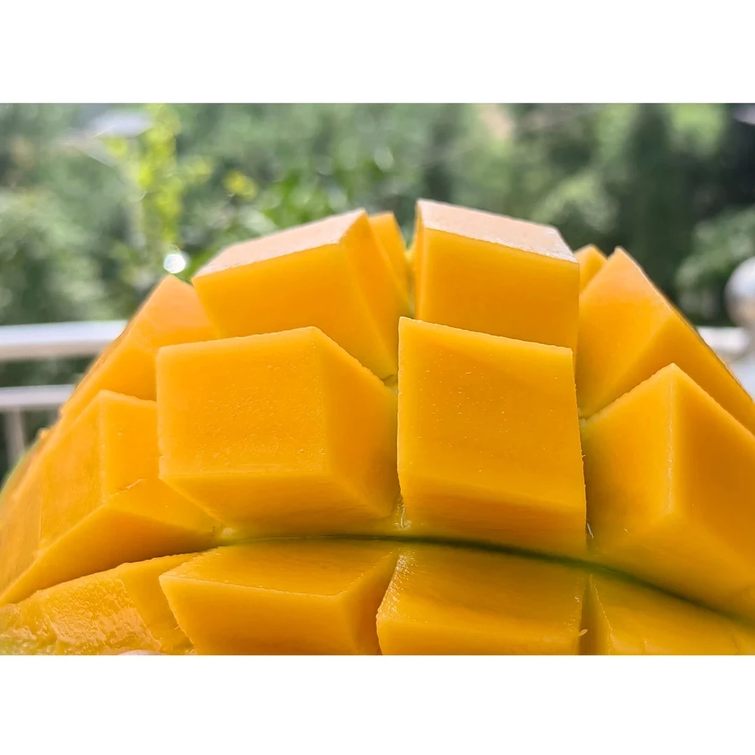 东兰县内包邮价：信河金煌芒  好吃芒果金奖 10斤家庭装·爆甜多汁