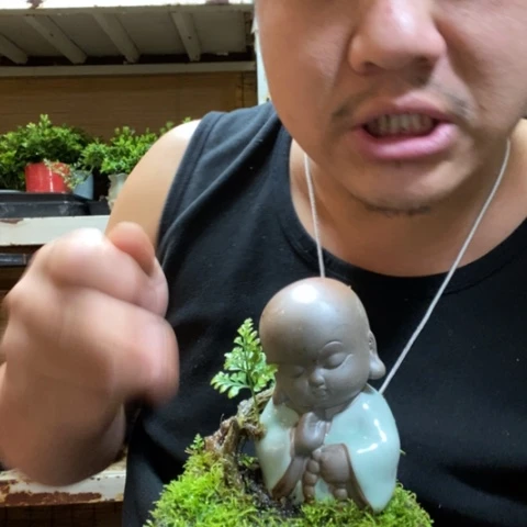 红陶一物一拍所见即所得13