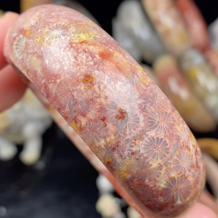 硅化玉未镶嵌颈饰53