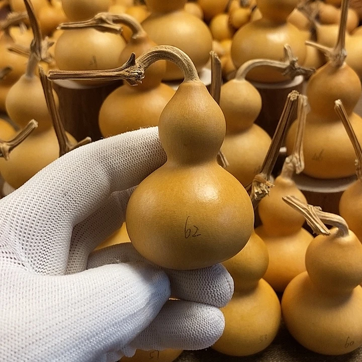 文玩葫芦 完美主义者 慎拍62