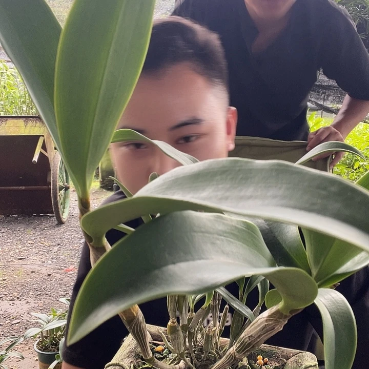 完全开放无需担心