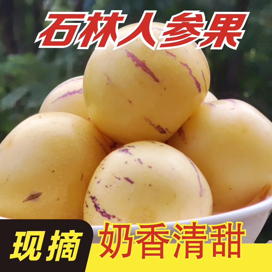 【树上熟新鲜摘】云南石林人参果黄肉圆果新鲜多汁清甜应季低糖水果