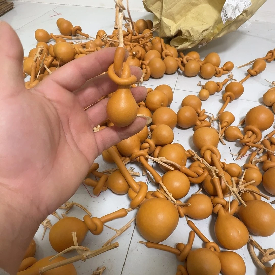 @***@葫芦等农作物生长旺盛和