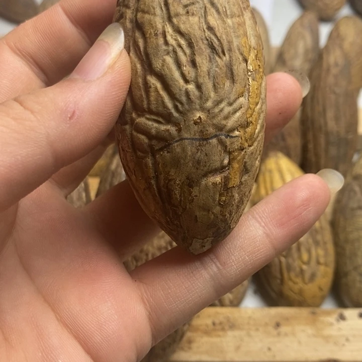 大***力千眼菩提把件菩提