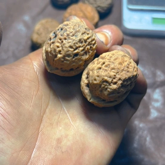 文玩核桃把件卡39小粗筋绣球纹31号