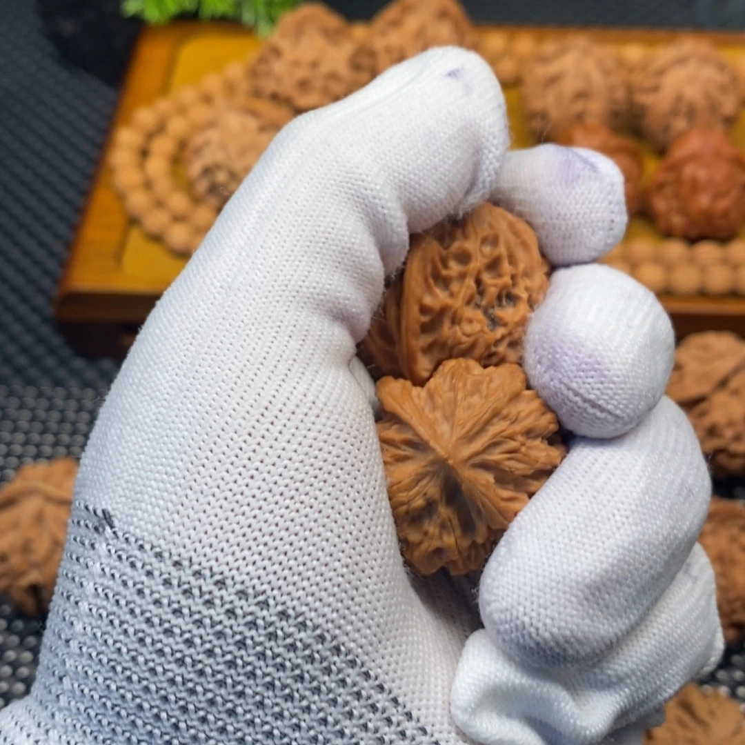 樛***爷秦岭南北区有什么