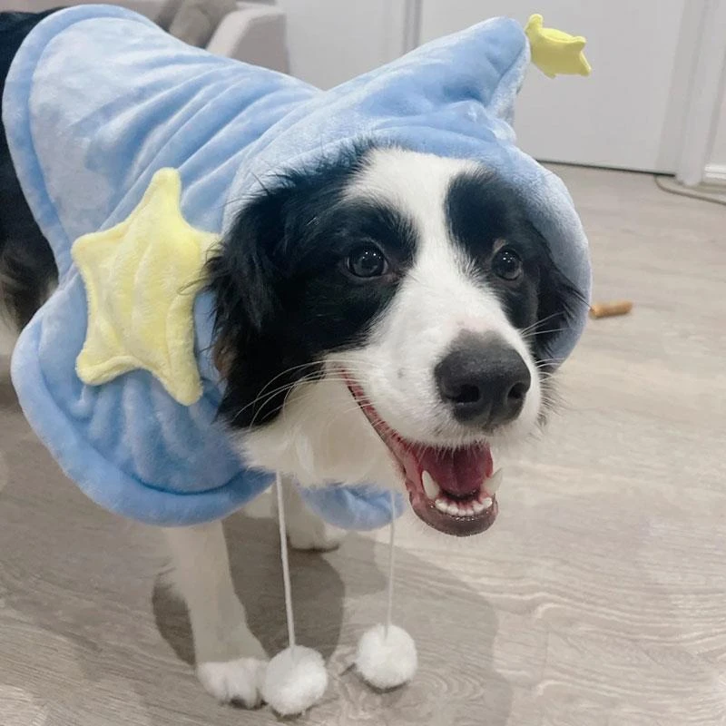 边牧狗狗专用睡袍睡衣睡觉毛毯披风斗篷衣服小被子秋冬大型幼犬