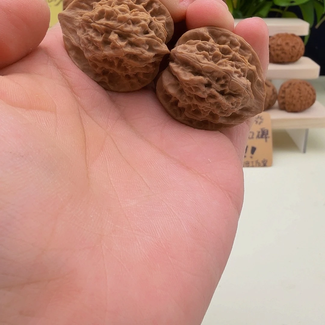 全品野生无名小手捻