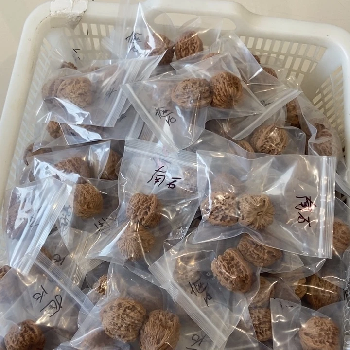 吊坠文玩核桃南疆瑕疵